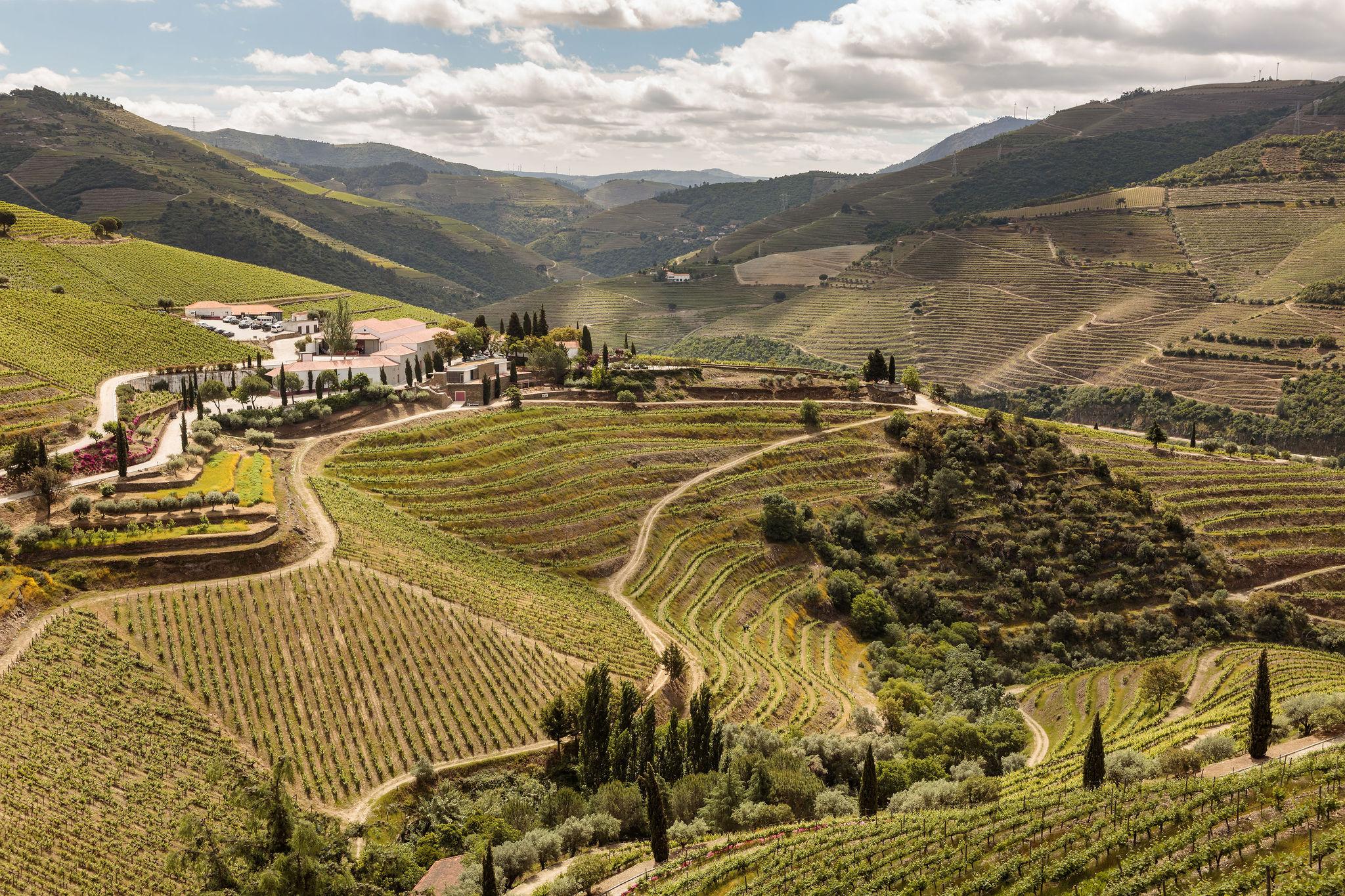 Quinta Nova Winery House - Relais & Chateaux Pinhão Eksteriør bilde